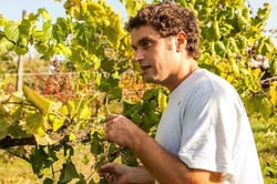 Angol d'Amig - Marco Lanzotti logo