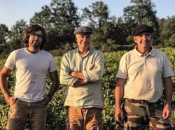 La Ferme de la Sansonnière - Mark & Martial Angeli et Bruno Ciofi logo