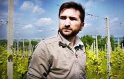 Croci Tenuta Vinicola - Massimiliano Croci logo