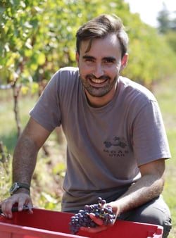 Azienda Agricola Il Cavallino - Sauro Maule logo
