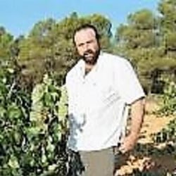 Dagón Bodega - Miguel Jesús & Márquez Sauquillo logo
