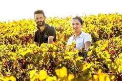 Elisabetta & Luigi Carmelitano - Musto Carmelitano Azienda Agricola logo