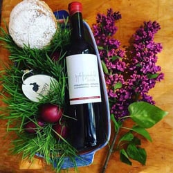 Kereselidze Wine Cellar - Nestan Dvali & Apollon Kereselidze logo