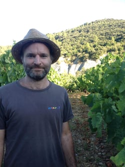 Lou Vin Amor - Nicolas Duhesme logo