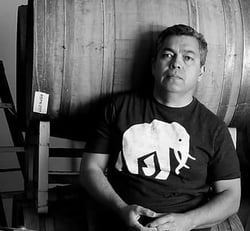 Purity Wine - Noel Diaz logo