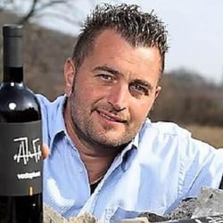 Vodopivec Winery - Paolo Vodopivec logo
