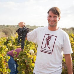 Società Agricola Marabino - Pierpaolo Messina logo