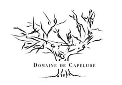 Ferme de Capelude - Pierre Gérin logo