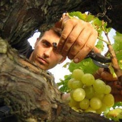 Clos Massotte - Pierre Nicolas Massotte logo
