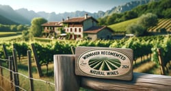 Raisin Test Domaine - Raisin logo