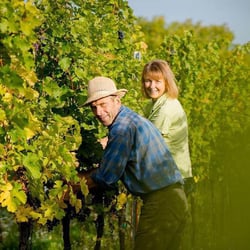 Weingut Wassmann - Susann Hanauer & Ralf Wassmann logo
