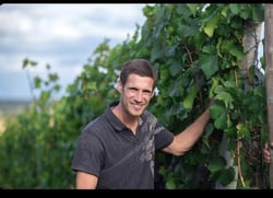 Domaine Gross - Rémy & Vincent Gross logo
