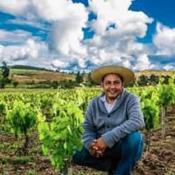 Bodegas El Viejo Almacen de Sauzal - Renán Cancino logo