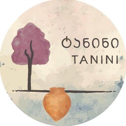 Tanini - Revaz Vasadze logo