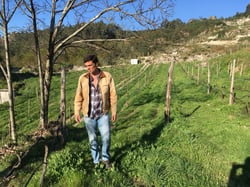 Penhó Wines - Ricardo Moreira logo