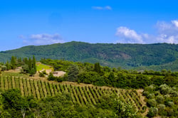Azienda Agricola Pruneto - Riccardo e Massimiliano Lanza logo
