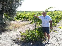 Azienda Agricola Francesca Barracco - Roberto Bruno logo