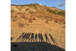 Artizani - Salomé Andrazashvili, Irakli Gvaramia & David Mgeladzé logo
