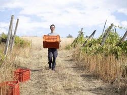 Shun Minowa - Shun Minowa logo