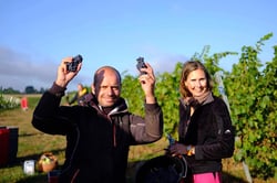 Domaine W - Sophie Et Dimitri logo