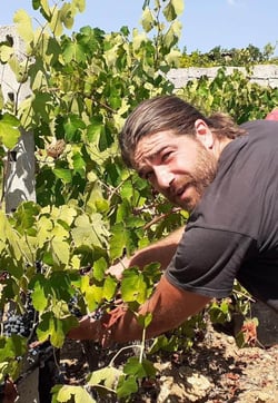 Società Agricola La Chiusa - Stefano Ientile logo