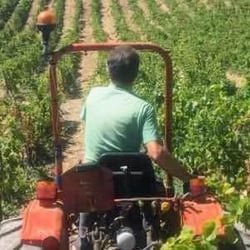 Vignobles Doulmet - Domaine Du Fils D'Eole - Thierry & Rémy Doulmet logo