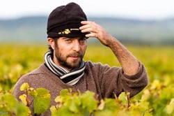 Domaine Pattes Loup - Thomas Pico logo