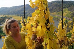 Lesom Weine - Jessika Reis & Philipp Musevi logo