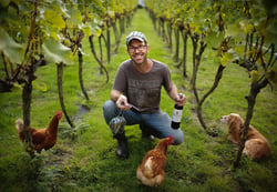 Charlie Herring Wines - Tim Phillips logo