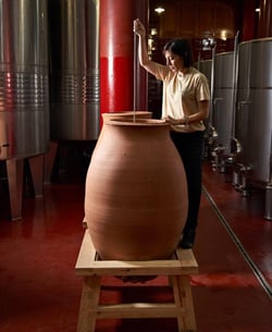 Celler Credo - Ton Mata Moliner logo