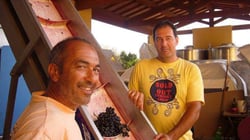 Poggio Trevvalle - Umberto & Bernardo Valle logo