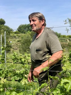 Celler Tomàs Torres - Vicent Tomas Soler logo