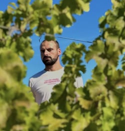 Domaine La Révolte - Victor Anglade logo