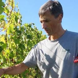 Domaine Vincent Stoeffler - Vincent & Adrien Stoeffler logo