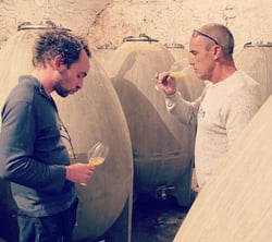 Domaine du Gringet - Vincent Ruiz & Franck Balthazar logo