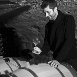 Domaine des Ardaillons - Yannick Pras logo