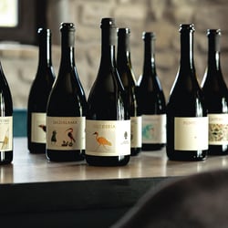 Podere Sottoilnoce 1390965