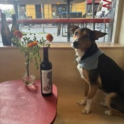 Andre Wine Bar 959288