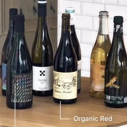 Ferment Wine & Coffee 1313068