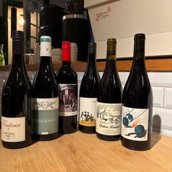 Ferment Wine & Coffee 1323762