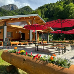 BAR ALPINO 906457