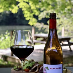 Hôtel du Lac & Restaurant 1369520
