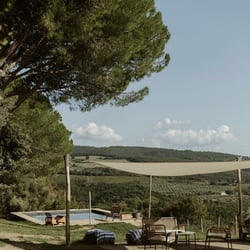 Il Paliarete 1349099