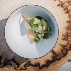 Restaurant Terra 896662
