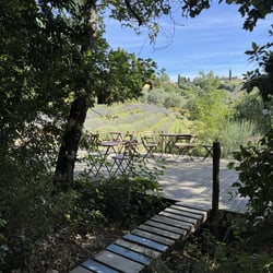 Terrafranta 1361902