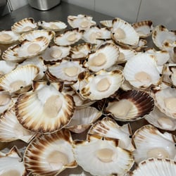 Le Café du Marché 847013