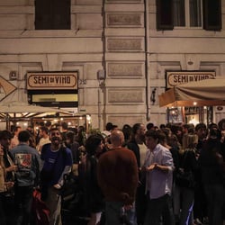 SEMI DI VINO 1367112