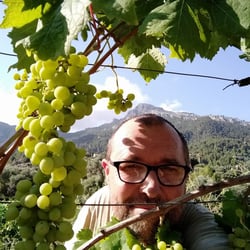 Gargo Wineroom 1350616