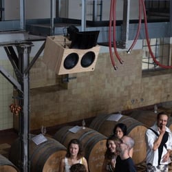 Nature´s Calling Winery 916983