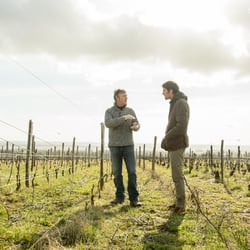 Ô Vins d’Anges 903812